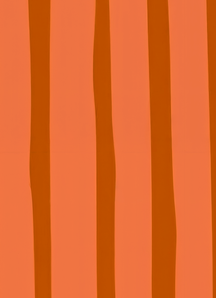 Textura Laranja